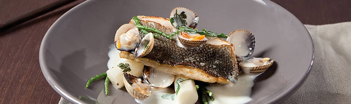 Zeebaars met schorseneren en kokkels