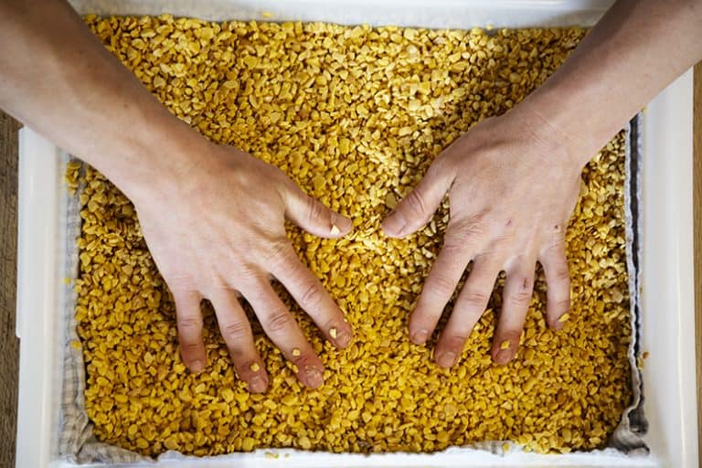 Zelf tempeh maken? Zo doe je dat! Foodies