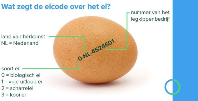 Vrije uitloop, kipster, rondeel of bio: welke eieren zijn het