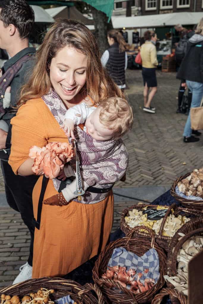 De vier seizoen van Vogel (Sanne Vogel)
