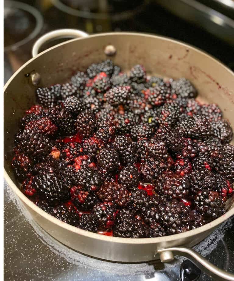 Bramenjam maken: zo doe je dat - Foodies