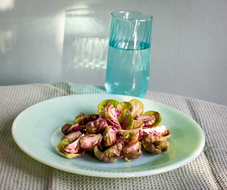 Salade van gemarineerde spruitjes