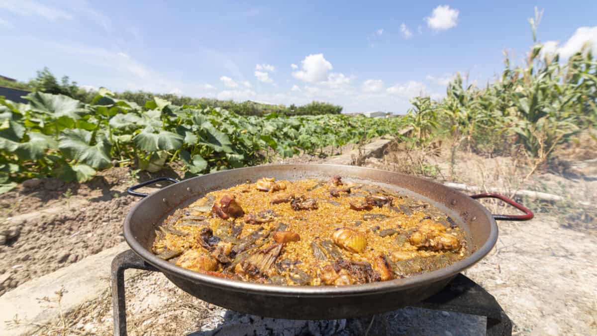 Pan met paella op een veld met groente in Valencia