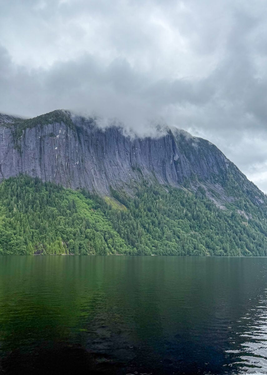 Regenwoud bij de Misty Fjords in Alaska