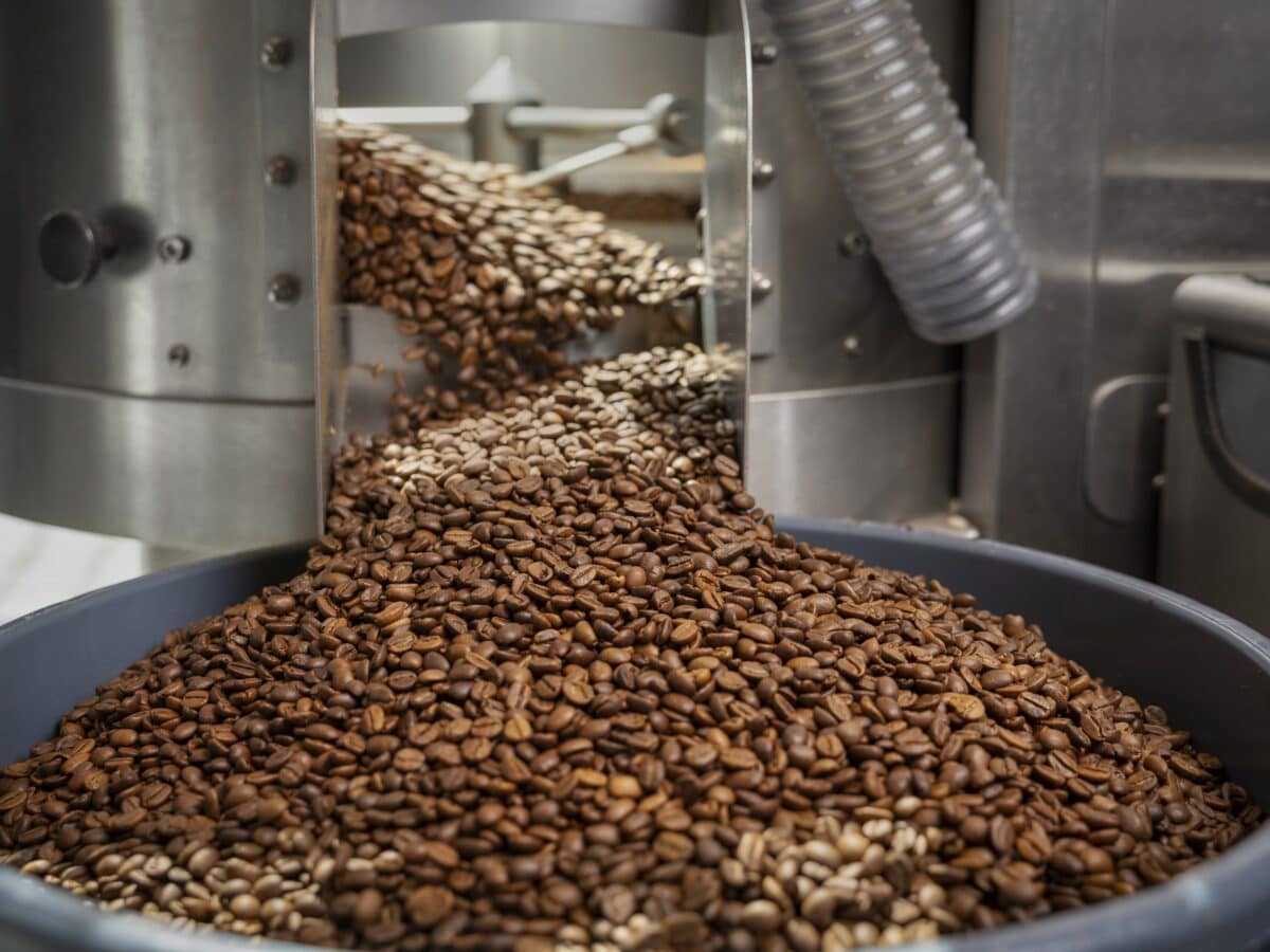 Koffie uit het bos Brute Bonen koffiebrander