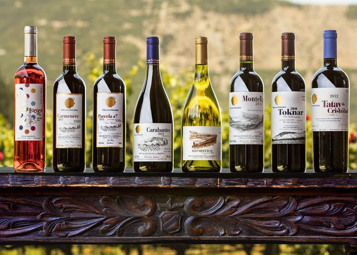 Flessen wijn van Vinest op een houten tafel