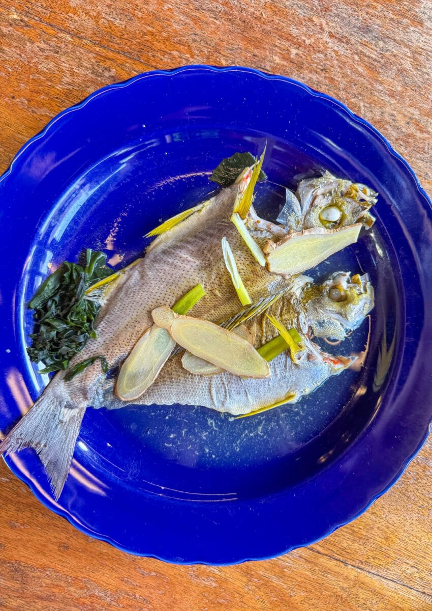 Gestoomde vis bij Addiction Aquatic Development in Taipei