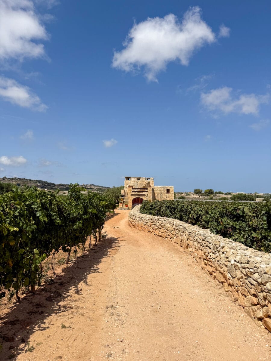 Wijngaarden van Ta' Betta Winery op Malta