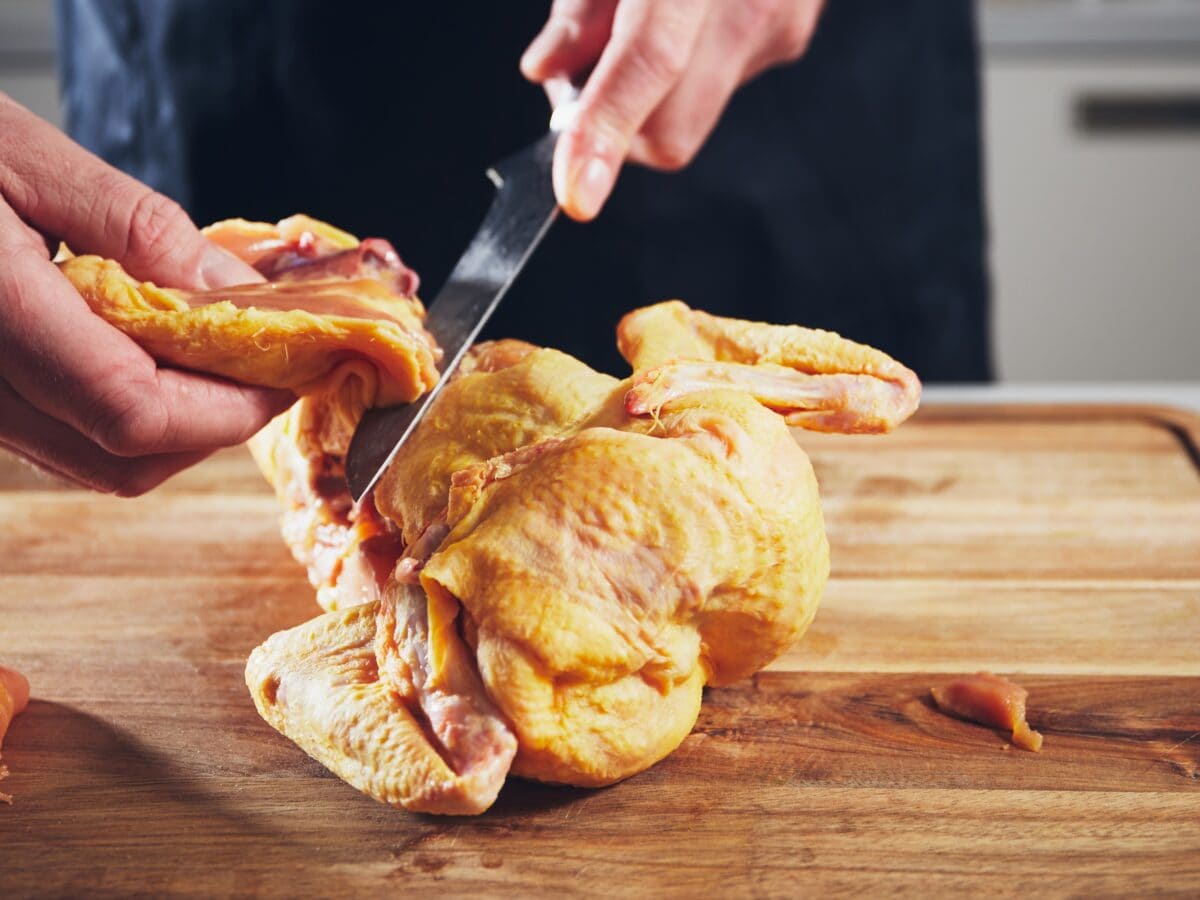 Fileermes Xinzuo kip snijden