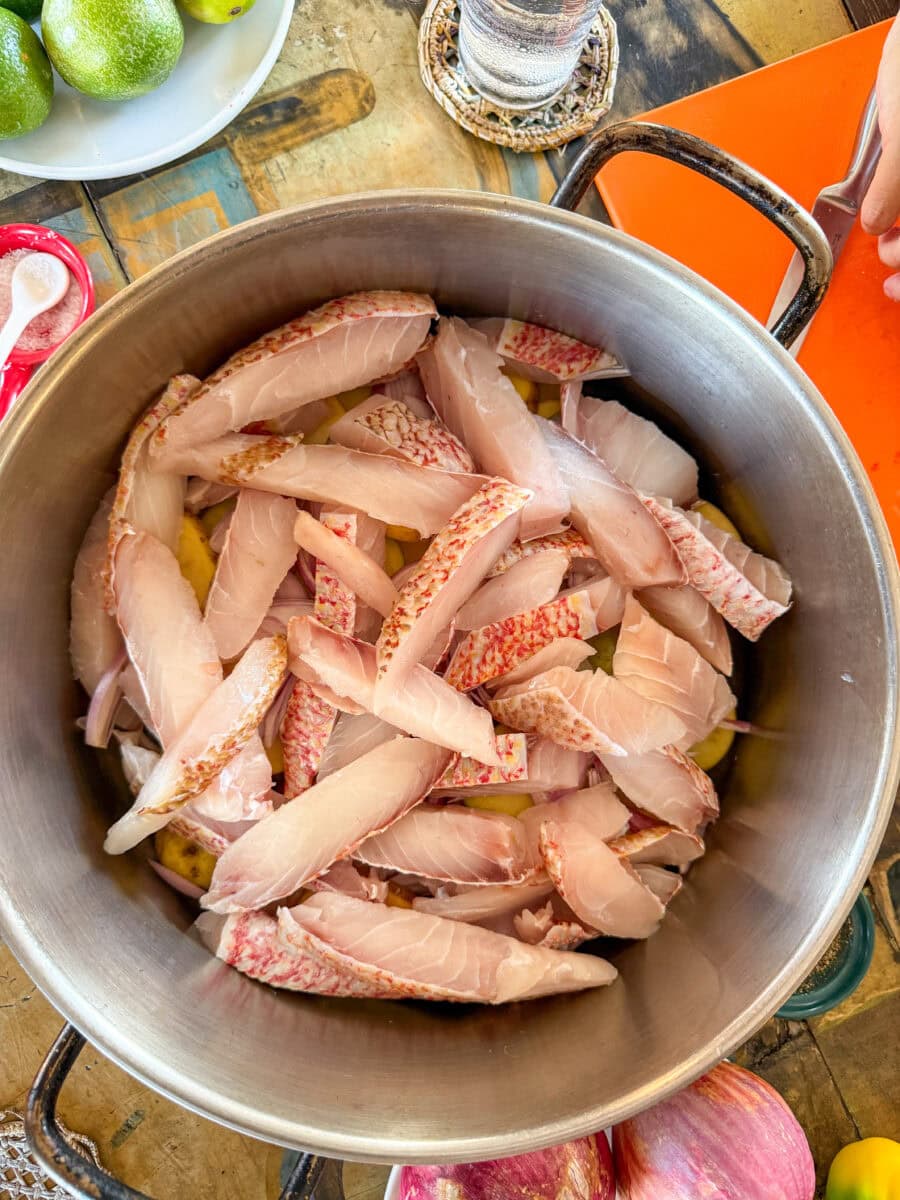 Red snapper in een grote stoofpan