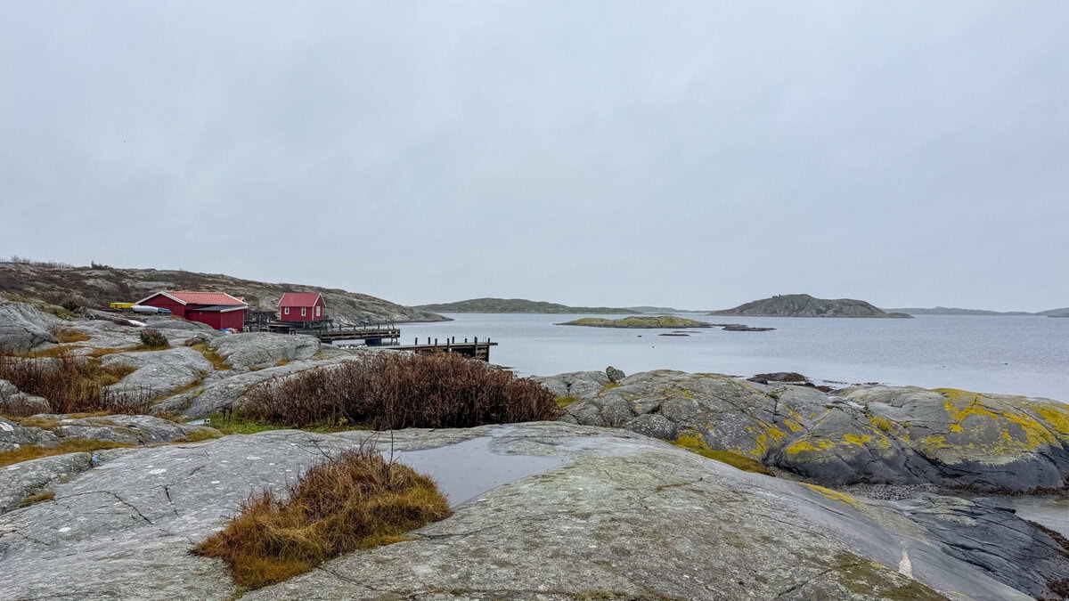 Kust van West-Zweden in de winter