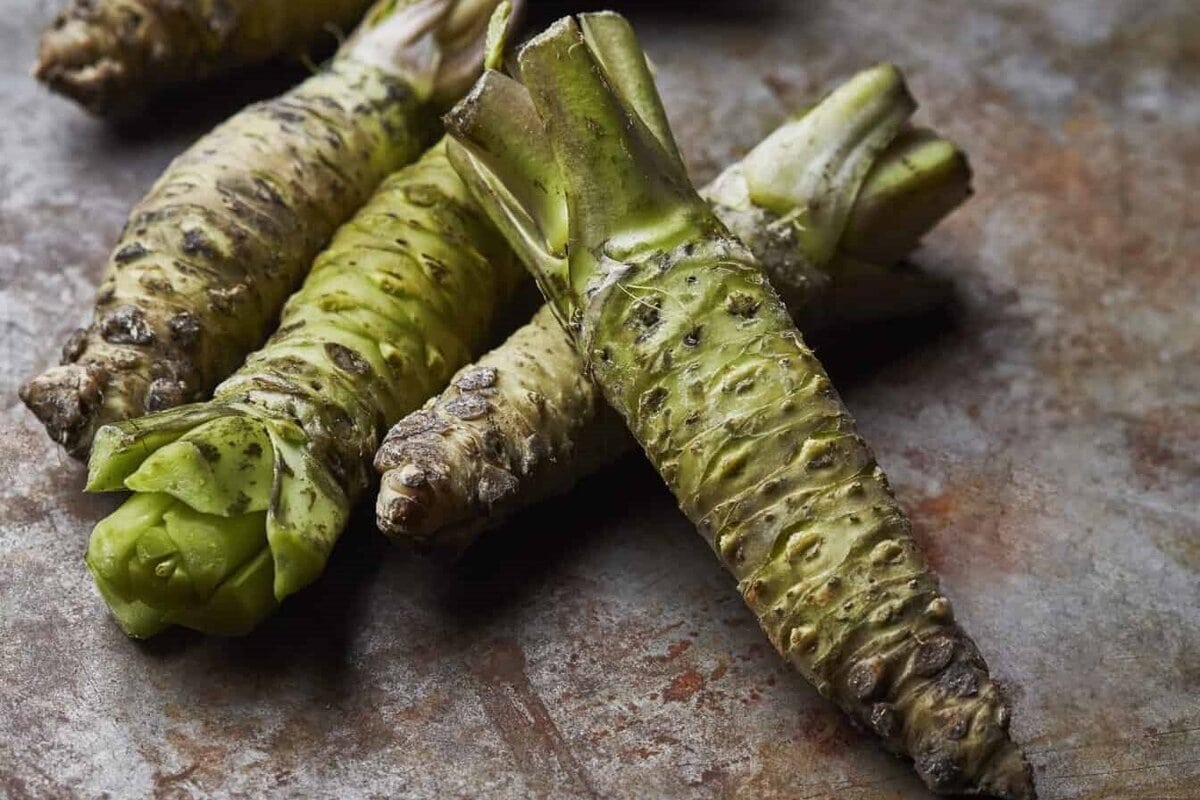 Wortels van wasabi