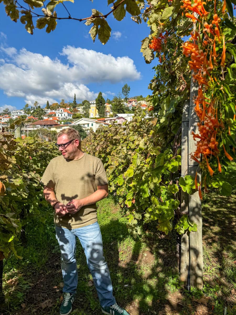 Bas Erkens in de wijngaarden van Blandy's op Madeira
