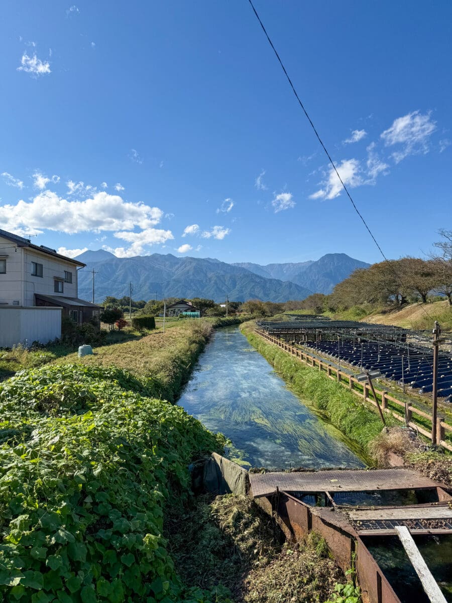 Beek met helder bronwater in Azumino, Japan