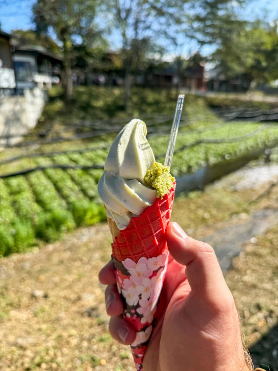 Wasabi-ijs bij Daio Wasabi Farm in Japan
