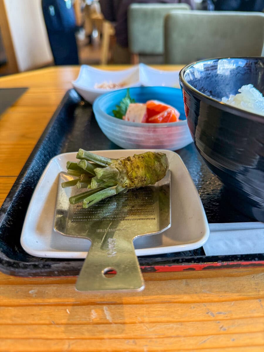 Verse wasabi op een rasp