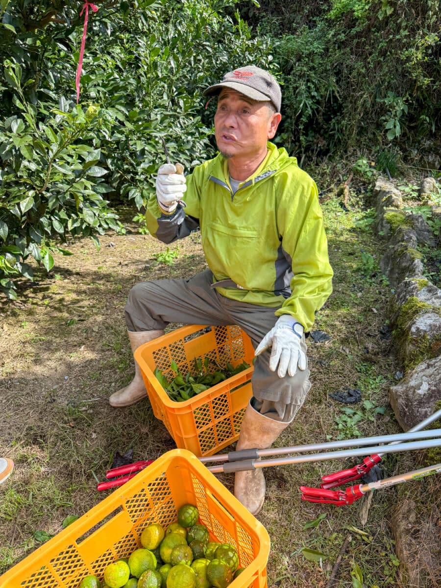 Boer bij Mr. Nomachi's Farm in Japan