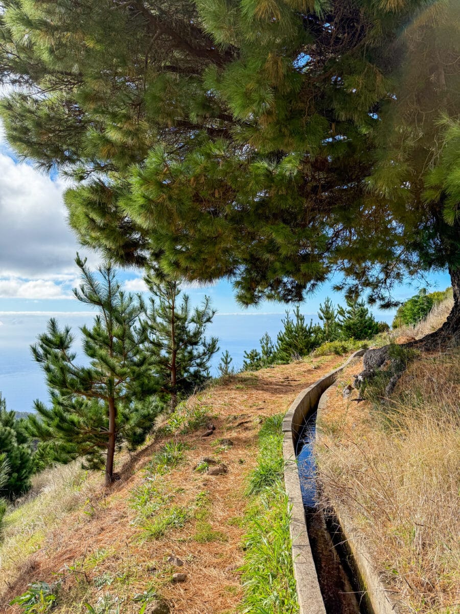 Levada's door de bergen op het eiland Madeira