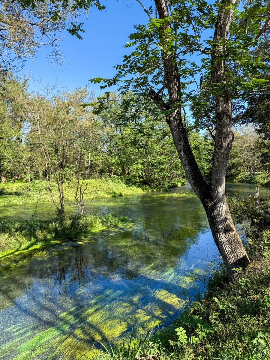 Beekje door het bos bij Daio Wasabi Farm in Japan