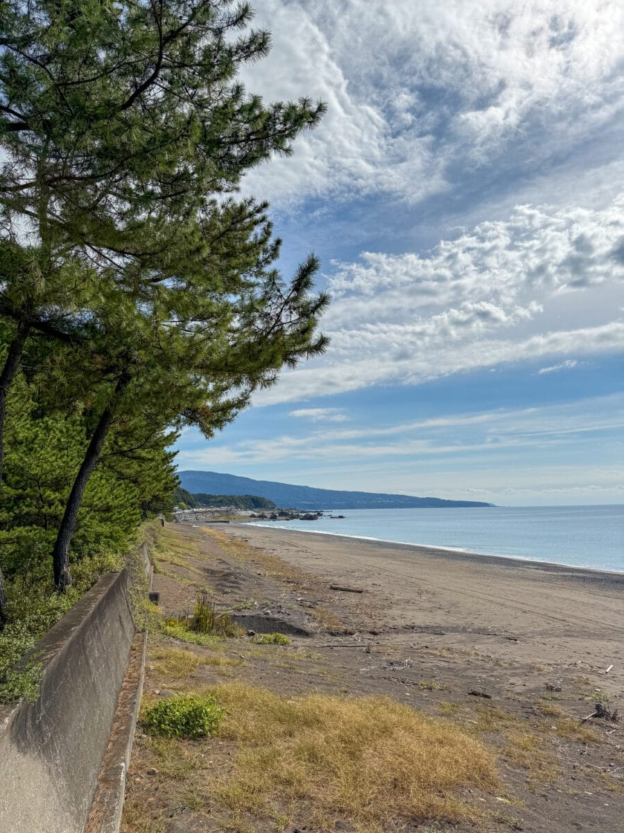 Japanse kust langs de Stille Oceaan bij Kochi