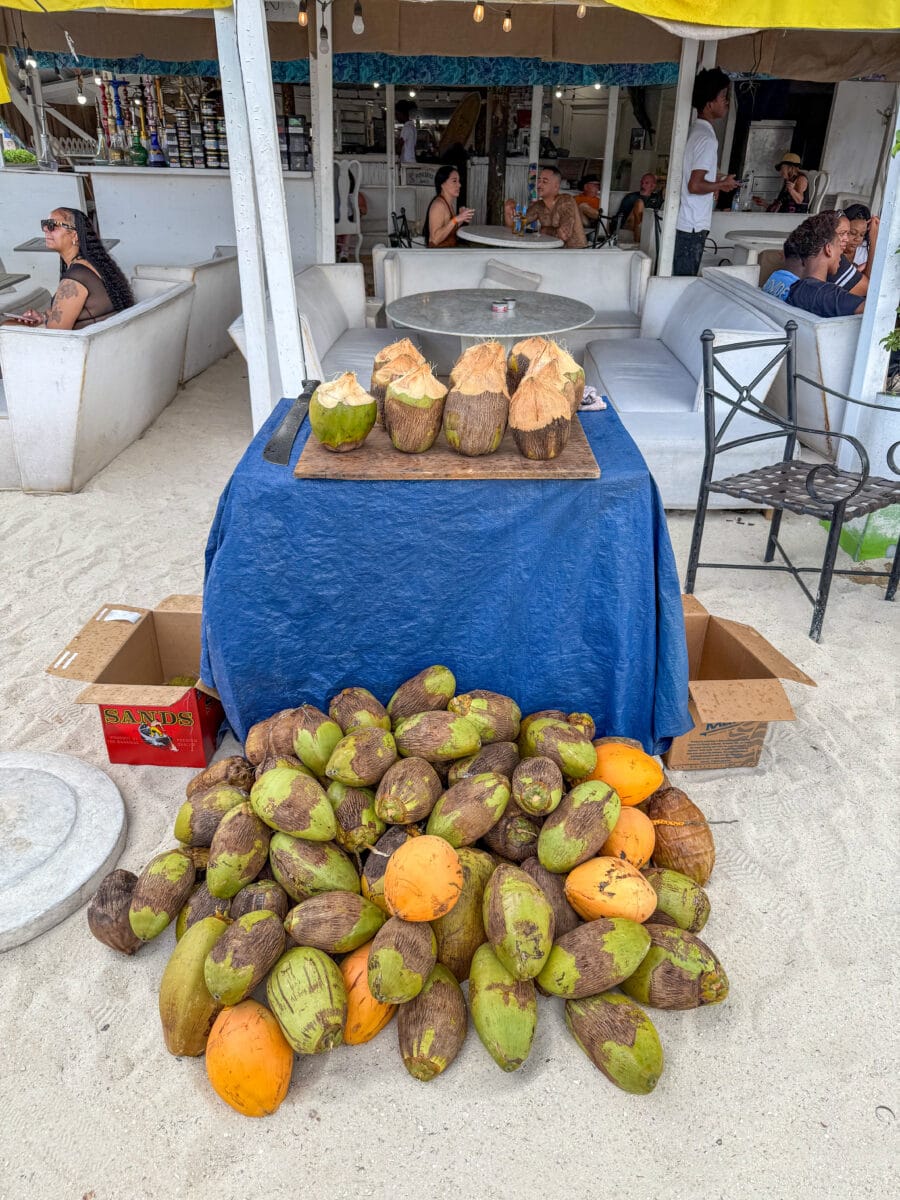 Verse kokosnoten op een strand op de Bahama's