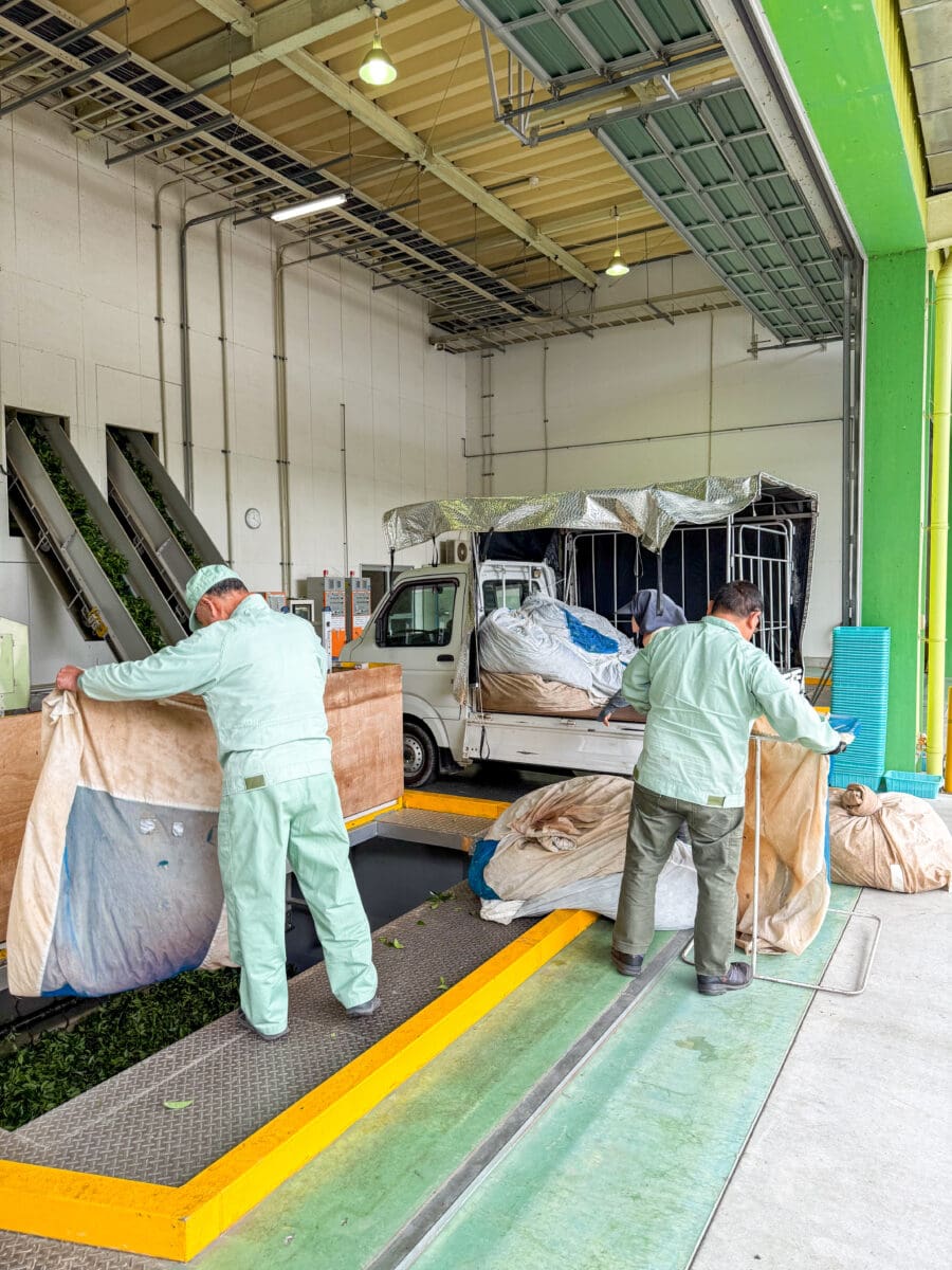 Zakken thee worden uitgeladen bij een theefabriek in Japan