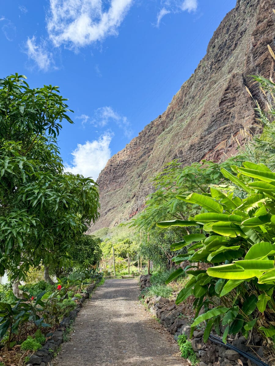 Tuinen van Fajã dos Padres op Madeira