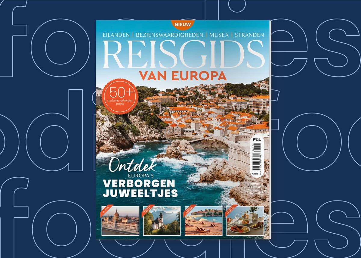 Cover van de Reisgids van Europa