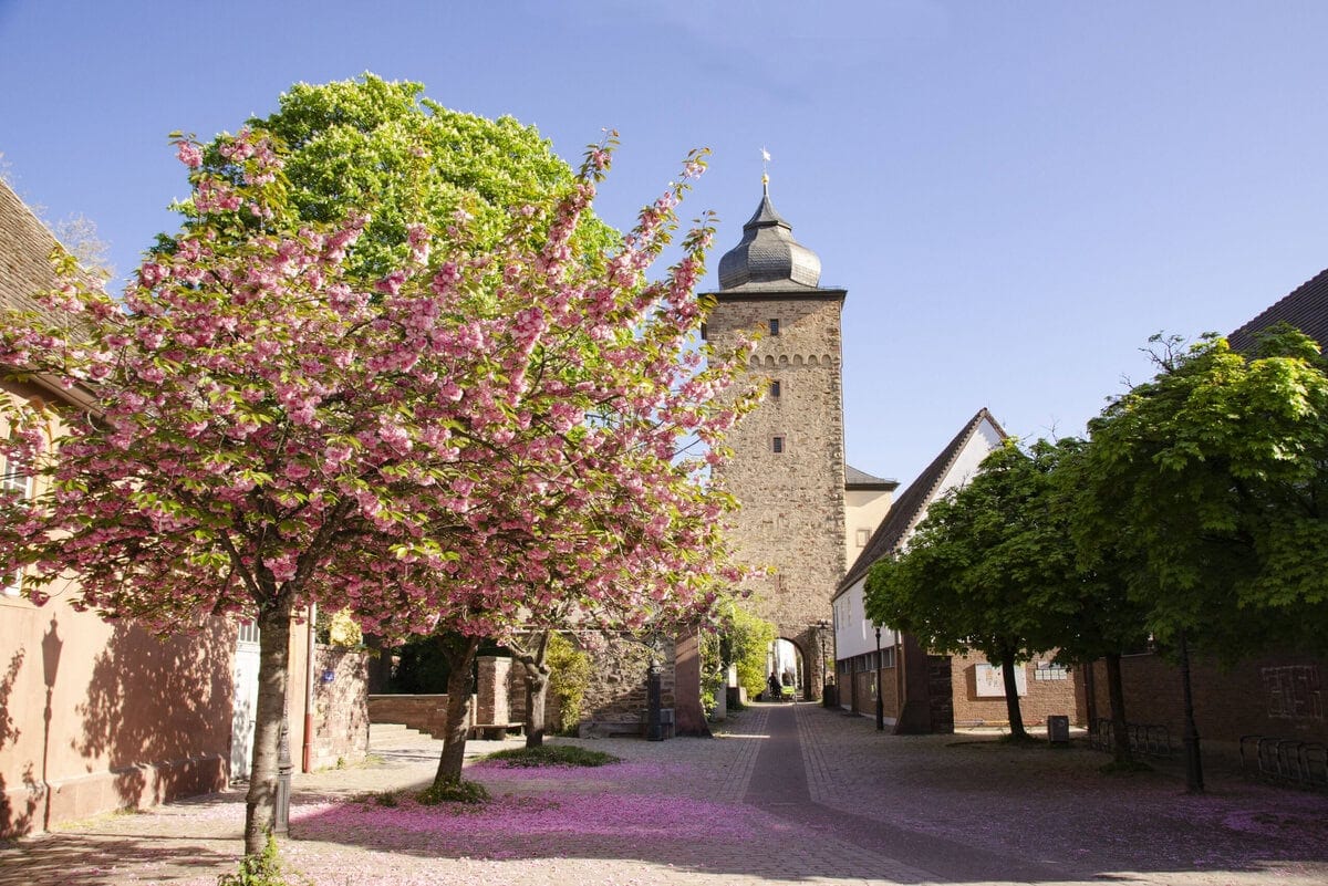 Basler Tor in Karlsruhe