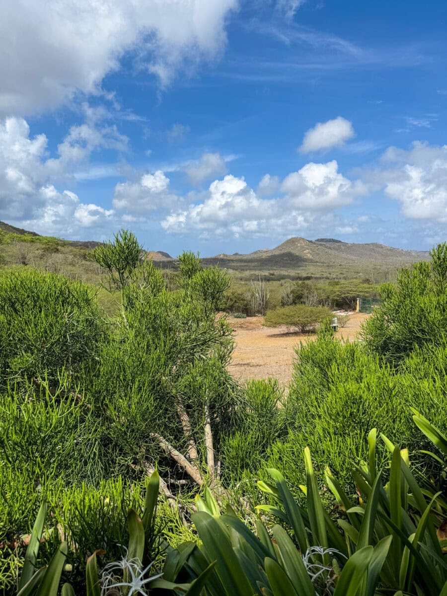 Uitzicht over Bonaire vanaf Posada Para Mira