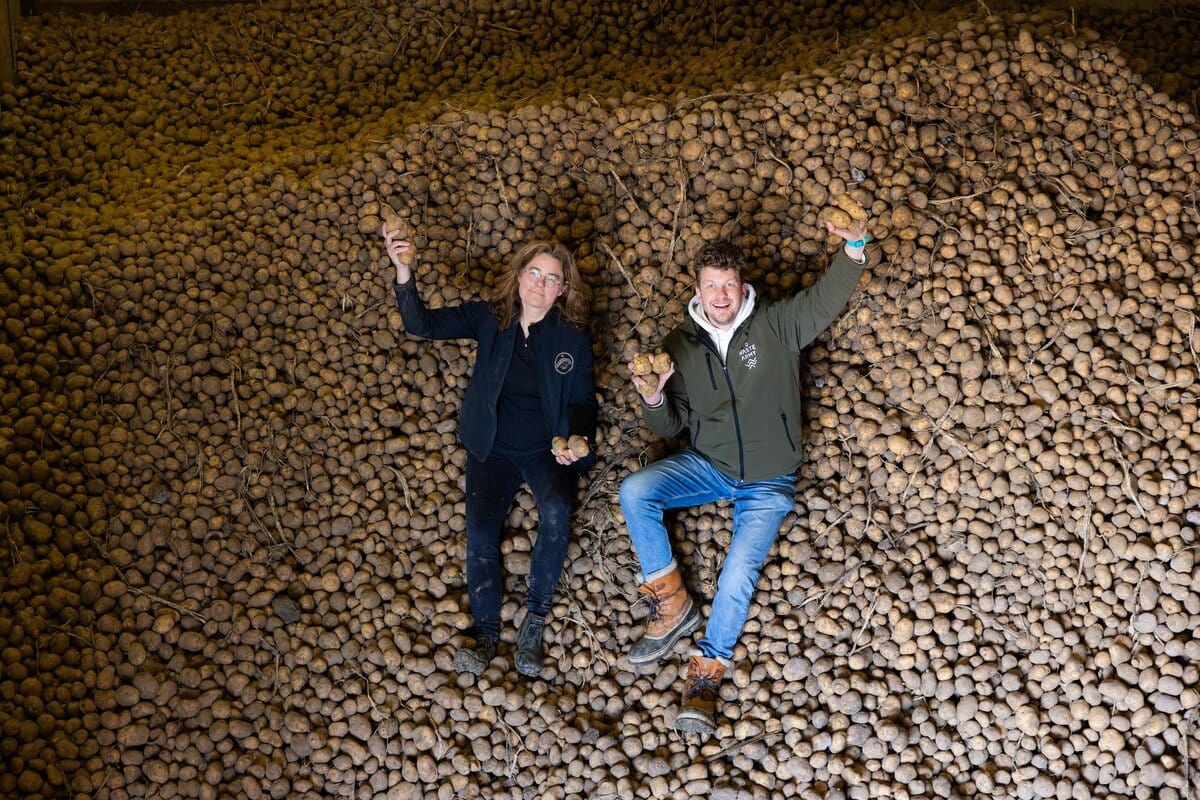 No waste army met aardappelen