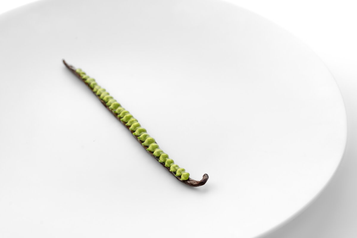 Vanille van Chef-kok Albert Adrià