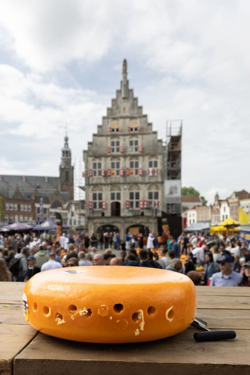 Goudse kaas met gaten voor de jurering