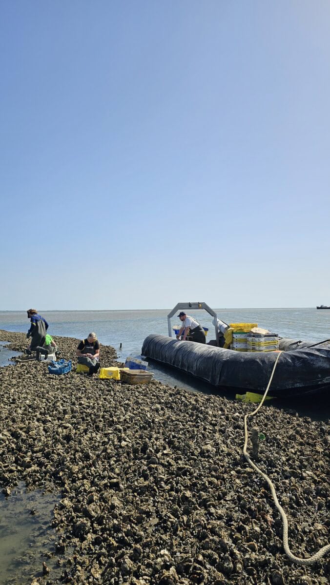 Rubberboot in de Waddenzee