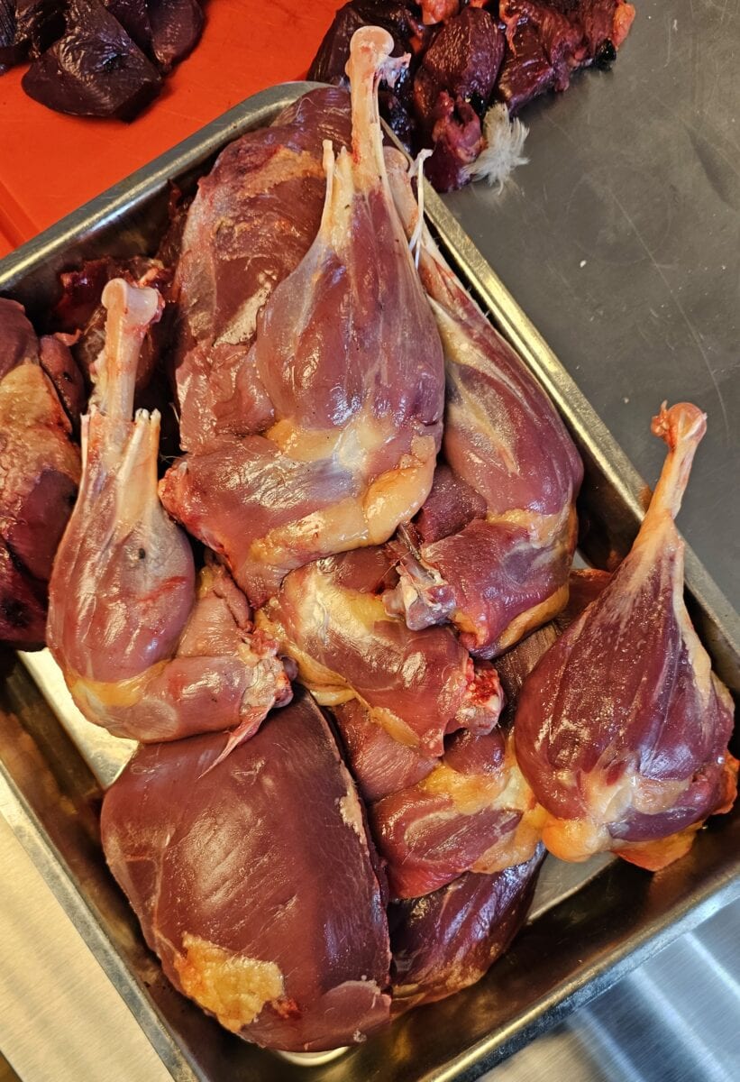Filets van een gans