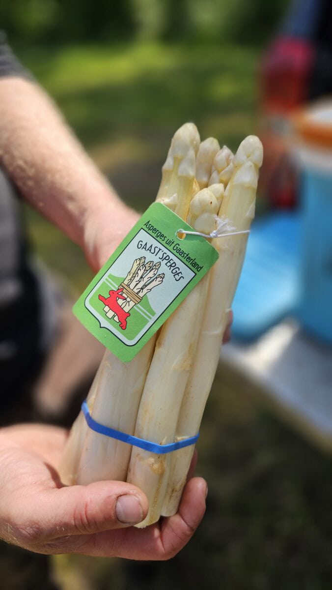 Bosje asperges van Gaast'sperges uit Friesland