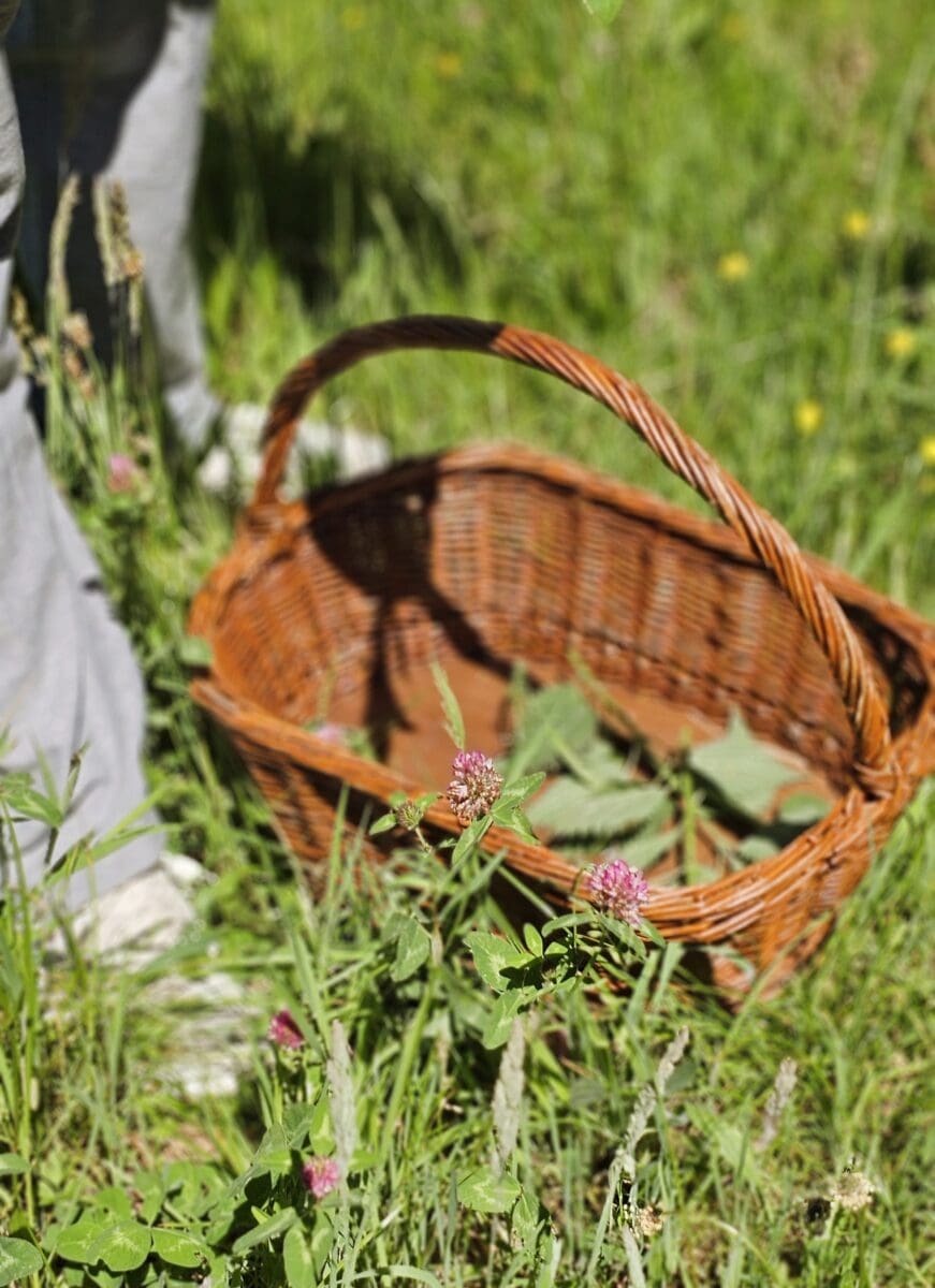 Mandje met wildpluk in Friesland