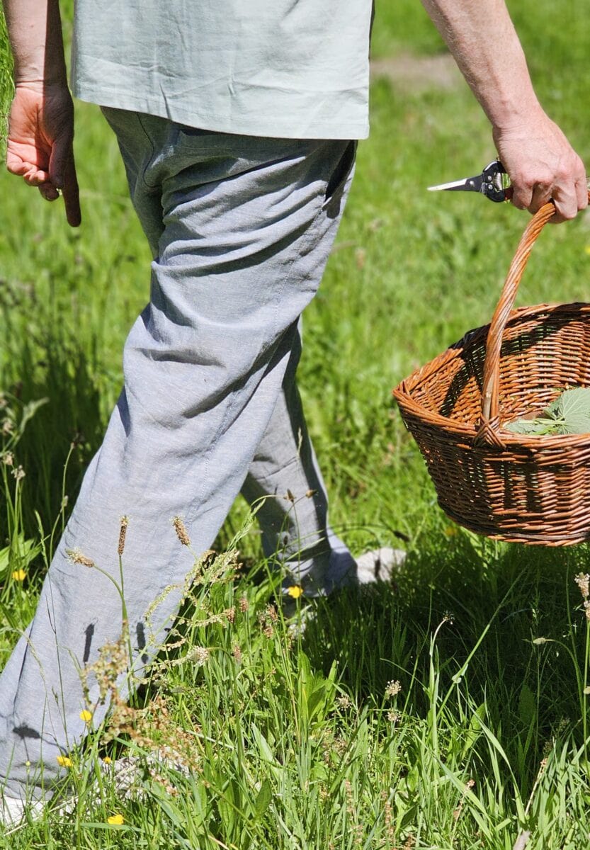 Wildplukken met Jouke-Piet van Salie