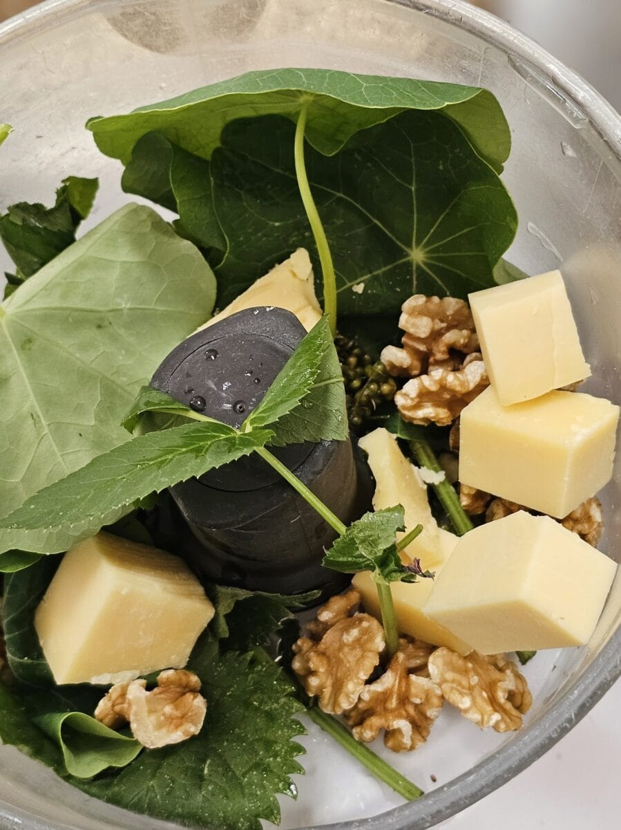 Ingrediënten voor pesto van wildpluk
