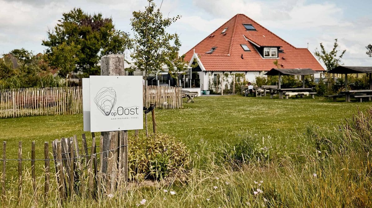 op oost restaurants texel