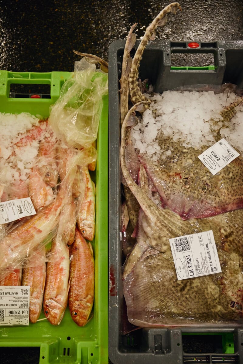 Bakken met vis bij de visveiling in Les Sables d'Olonne