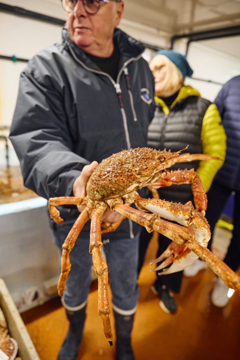 Grote krab op de visveiling in Les Sables d'Olonne