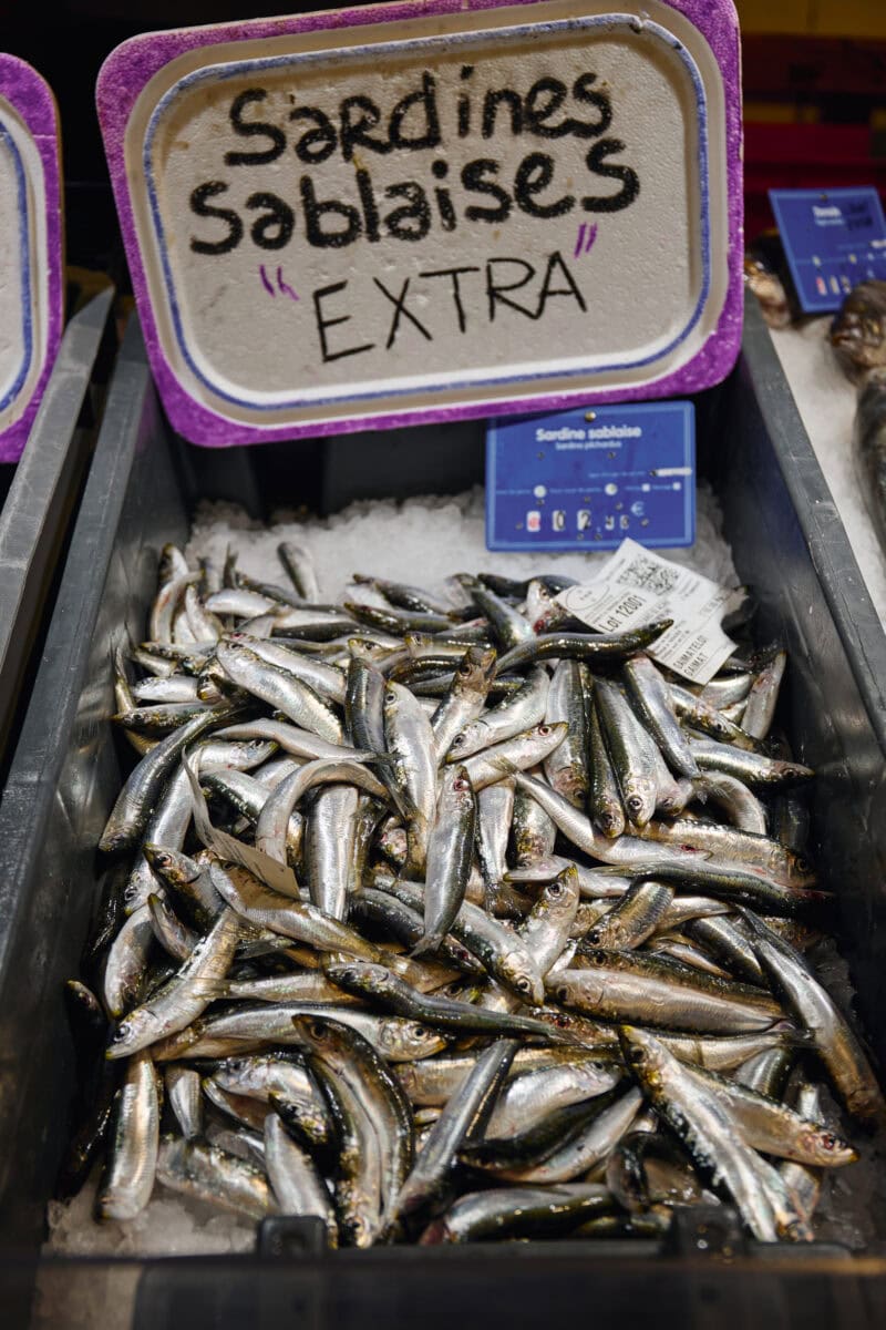 Sardientjes bij de visveiling in Vendée