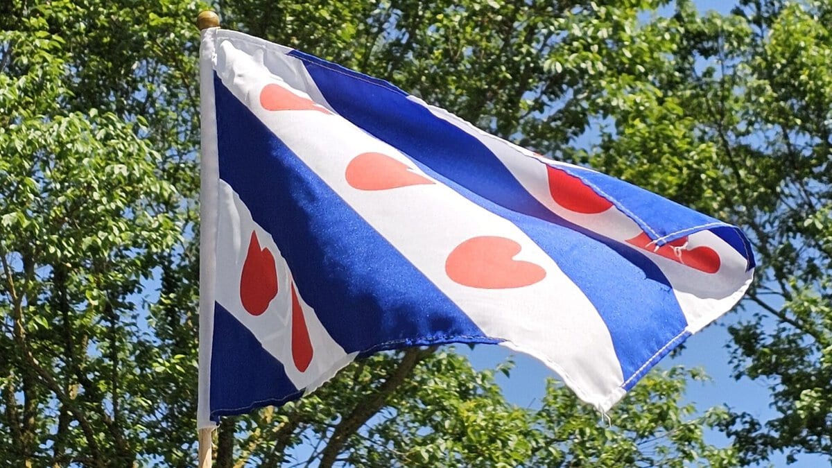 Vlag van Friesland