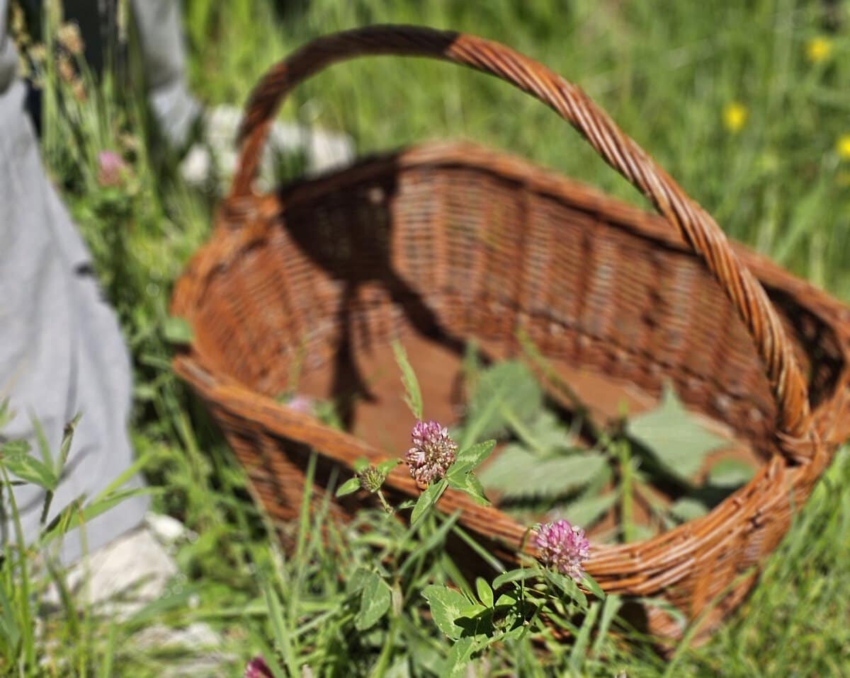 Mandje met wildpluk in Friesland