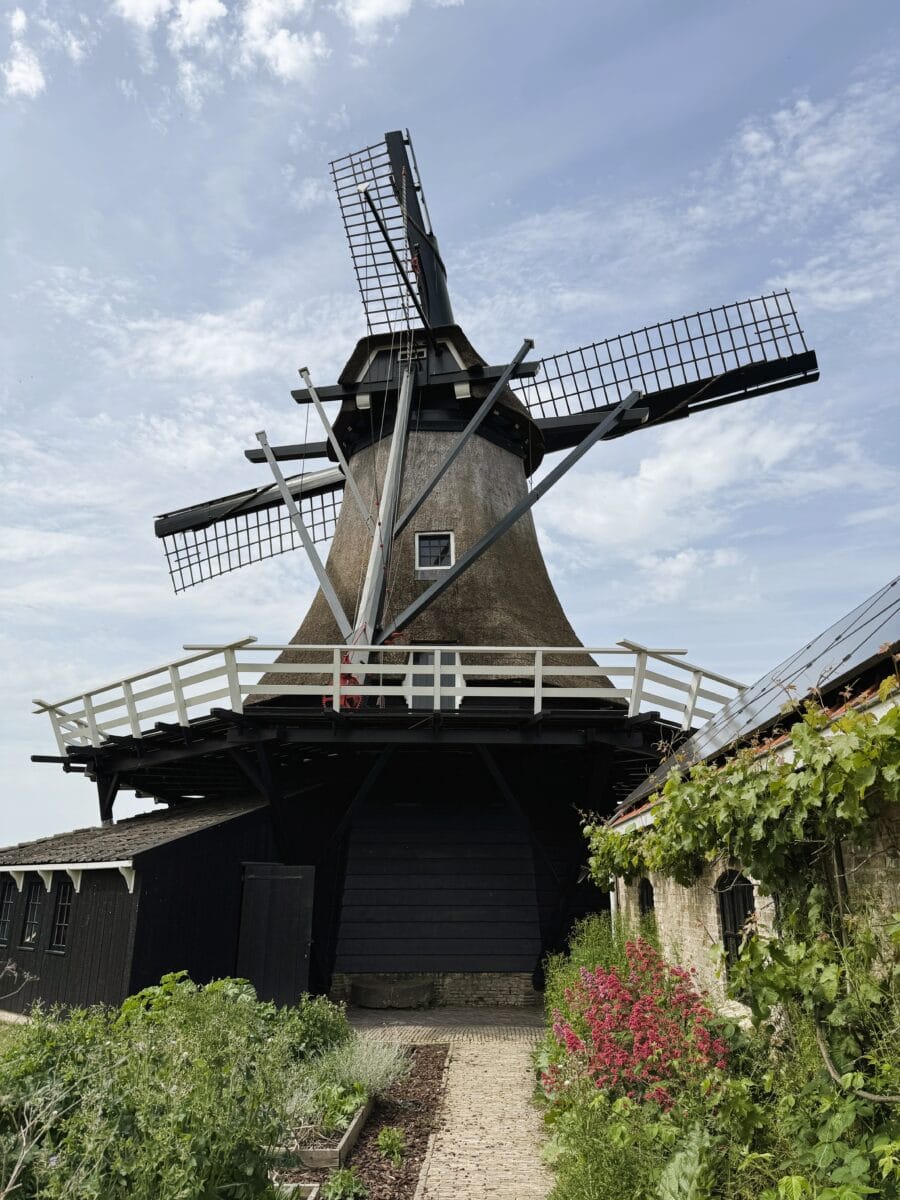Mevrouw de Molenaar in Friesland