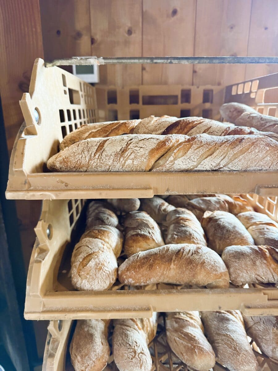 Brood van Mevrouw de Molenaar in Friesland