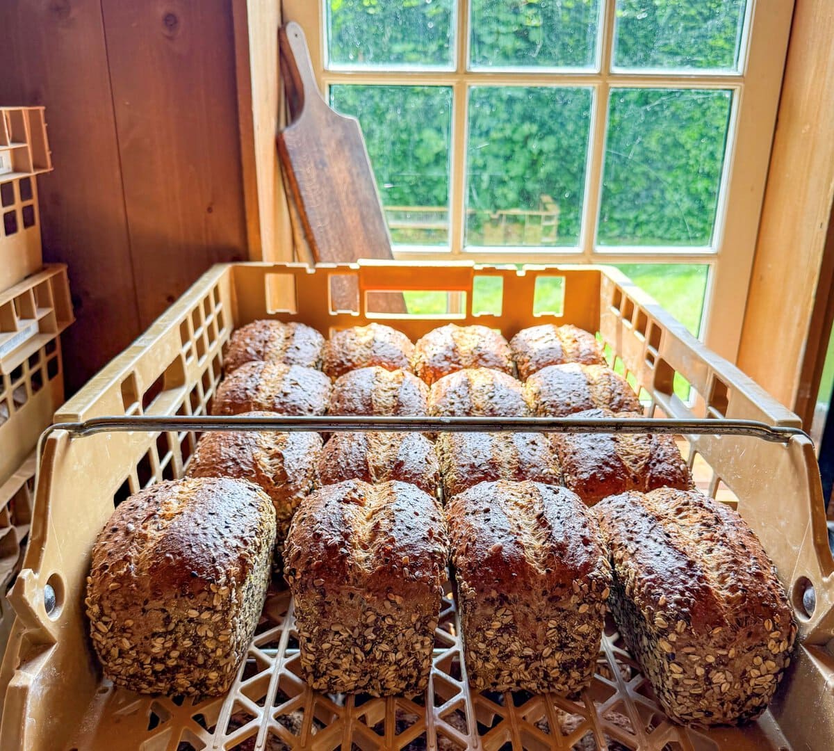 Brood van Mevrouw de Molenaar in Friesland