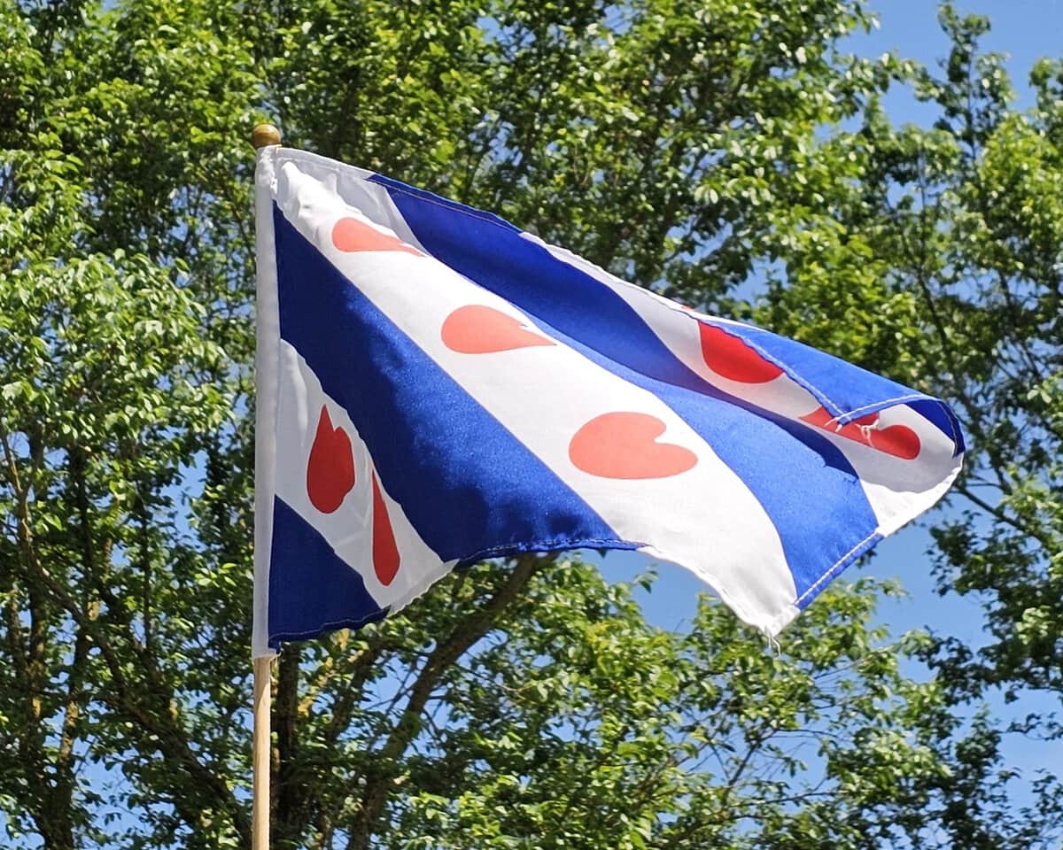 De vlag van Friesland