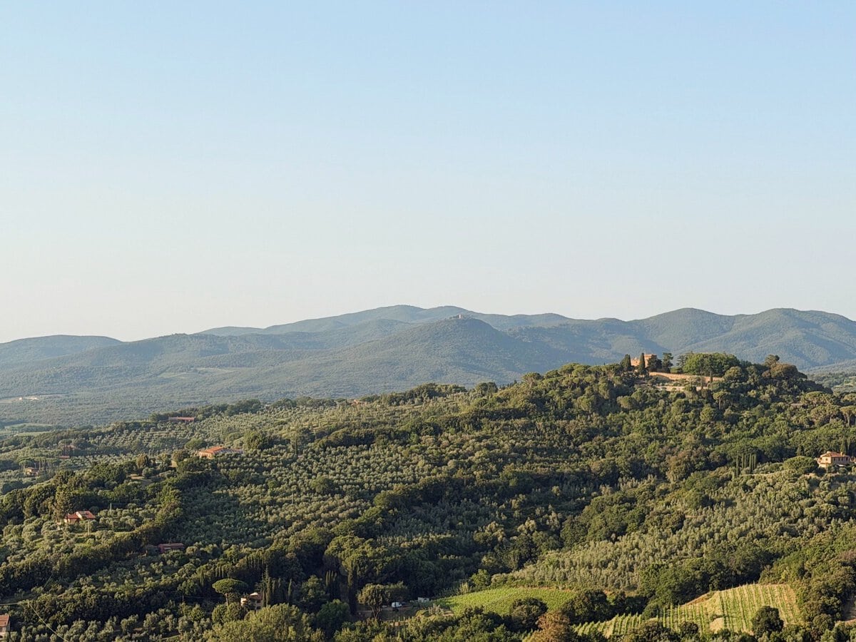 De heuvels van Bolgheri